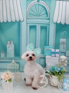 20260327_125840(1)_copy_2016x2688