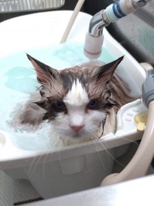 20260327_134925_copy_1874x2496_1