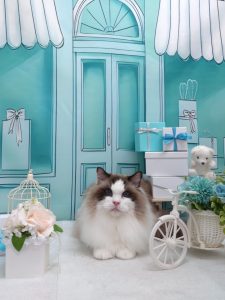 20260327_150140_copy_2082x2776