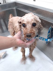 20260327_154628_copy_2448x3264