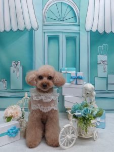 20260327_182625_copy_1850x2468