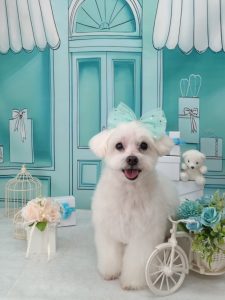 20260328_113222~2_copy_1888x2520