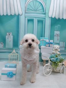 20260328_152345_copy_2026x2702