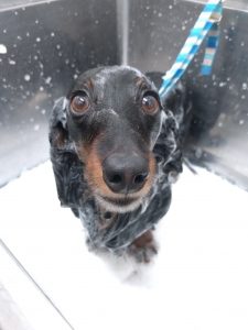 20260328_175527_copy_2766x3687