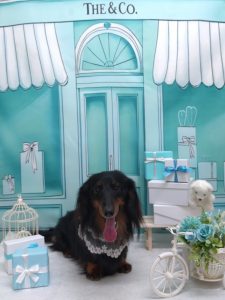 20260328_183350_copy_2116x2820