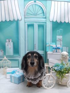 20260328_183849_copy_2095x2794