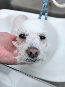 20260330_104858_copy_2579x3438_1