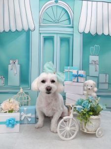 20260330_130125_copy_2160x2880