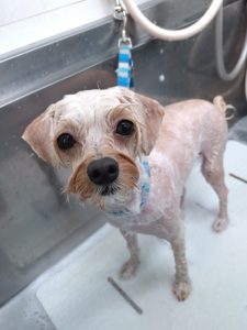 20260330_135452_copy_2675x3567_1