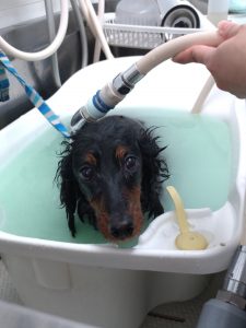 20260330_152231_copy_1944x2592