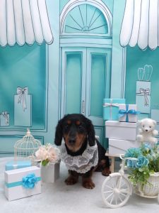 20260330_163705_copy_2070x2760