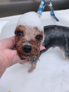 20260330_171508_copy_2813x3751