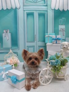 20260330_183521(1)_copy_2120x2827