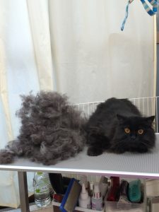 20260331_092854_copy_1892x2522