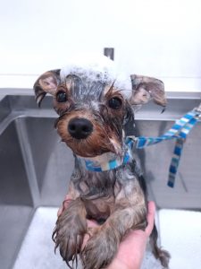 20260331_104933_copy_2876x3834