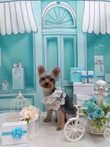 20260331_123702_copy_2137x2850