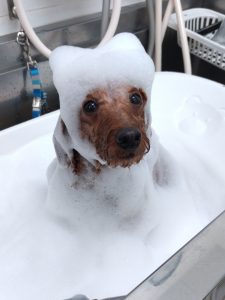 20260331_132005_copy_1912x2548