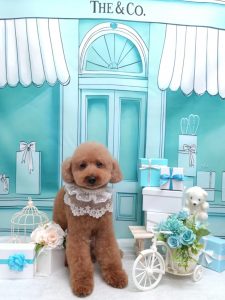 20260331_154605~2_copy_2000x2668