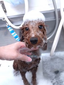 20260331_165920_copy_2616x3488