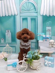 20260331_185425_copy_2093x2792