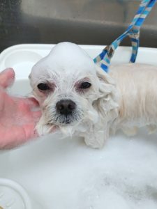 20260402_104439_copy_2357x3142