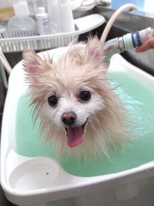 20260402_134424_copy_2030x2706