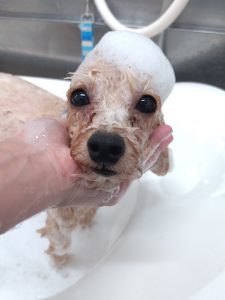 20260402_161334_copy_2823x3764