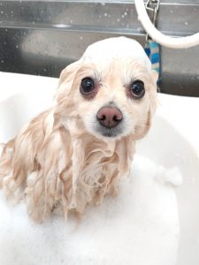 20260403_095337_copy_2594x3458_1