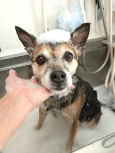 20260403_111805_copy_3000x4000