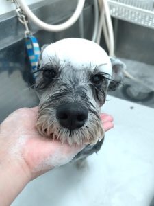 20260403_131139_copy_2533x3378_1