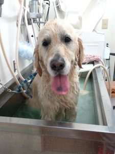 20260403_161634_copy_1944x2592