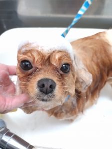 20260403_174713_copy_2519x3359