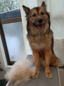 20260404_095927_copy_2404x3206