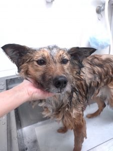 20260404_101010_copy_3128x4172