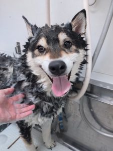 20260404_130804_copy_2603x3470