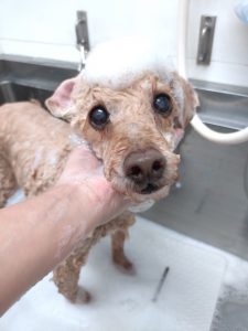 20260404_153750_copy_3000x4000