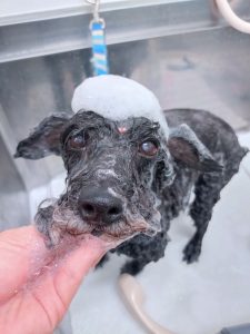 20260404_170711_copy_3000x4000