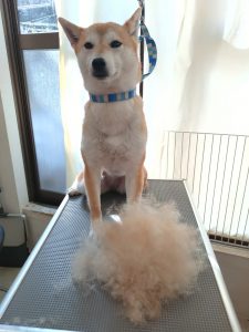 20260406_085156_copy_2774x3699_1