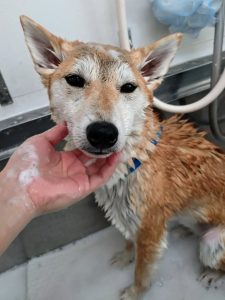 20260406_085855~2_copy_2840x3787