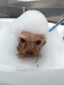 20260406_102355_copy_1944x2592