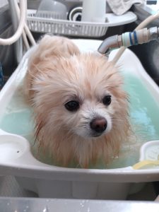 20260406_124812_copy_1996x2662