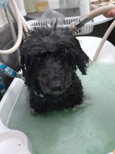 20260406_145930_copy_1944x2592