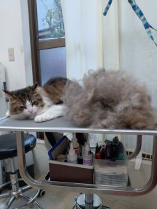 20260406_164312_copy_2242x2989