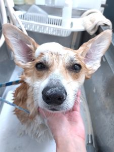 20260406_180735_copy_2660x3547_1