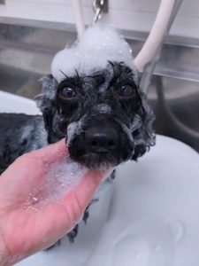 20260407_142316_copy_2852x3801