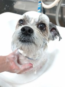 20260407_170633_copy_2700x3600_1