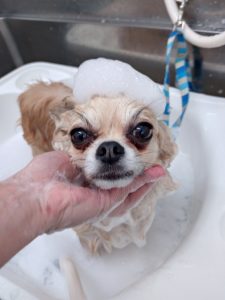 20260409_091404_copy_2663x3550_1