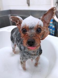 20260409_104648_copy_2345x3125