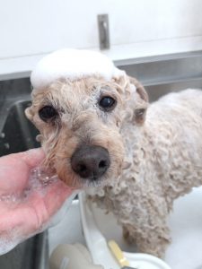 20260409_122002_copy_2400x3200_1