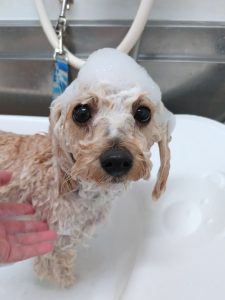 20260409_162910_copy_2213x2950